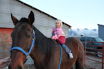 Cowgirl