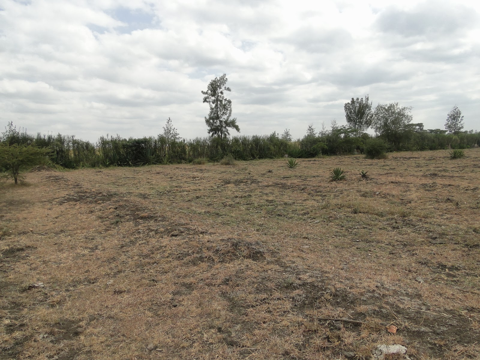 Denko Properties Amazing Land Offer !!! 1 Acre Prime Land for Sale