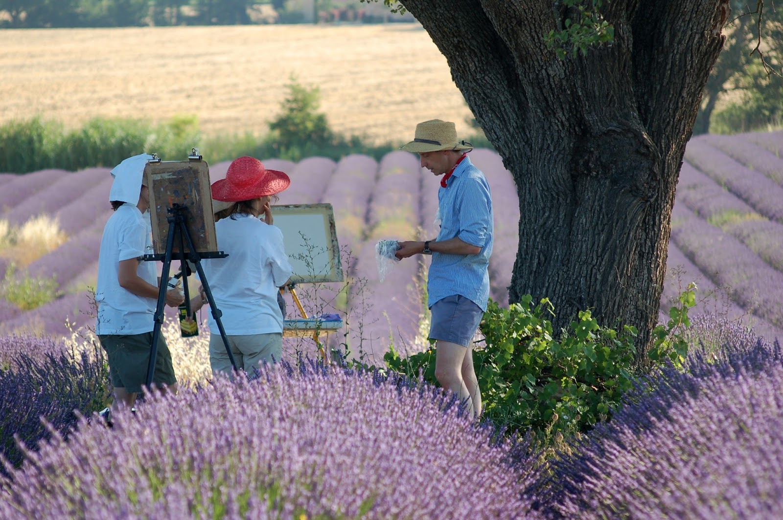 Painting in 2016 in Provence