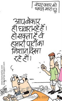 sharad Pawar cartoon, congress cartoon, indian political cartoon, corruption cartoon