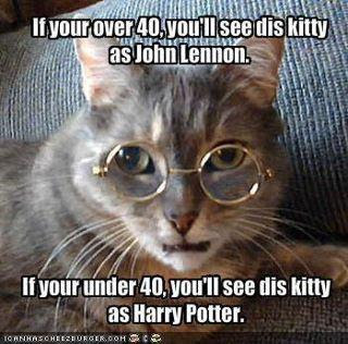 hella heaven funny cats