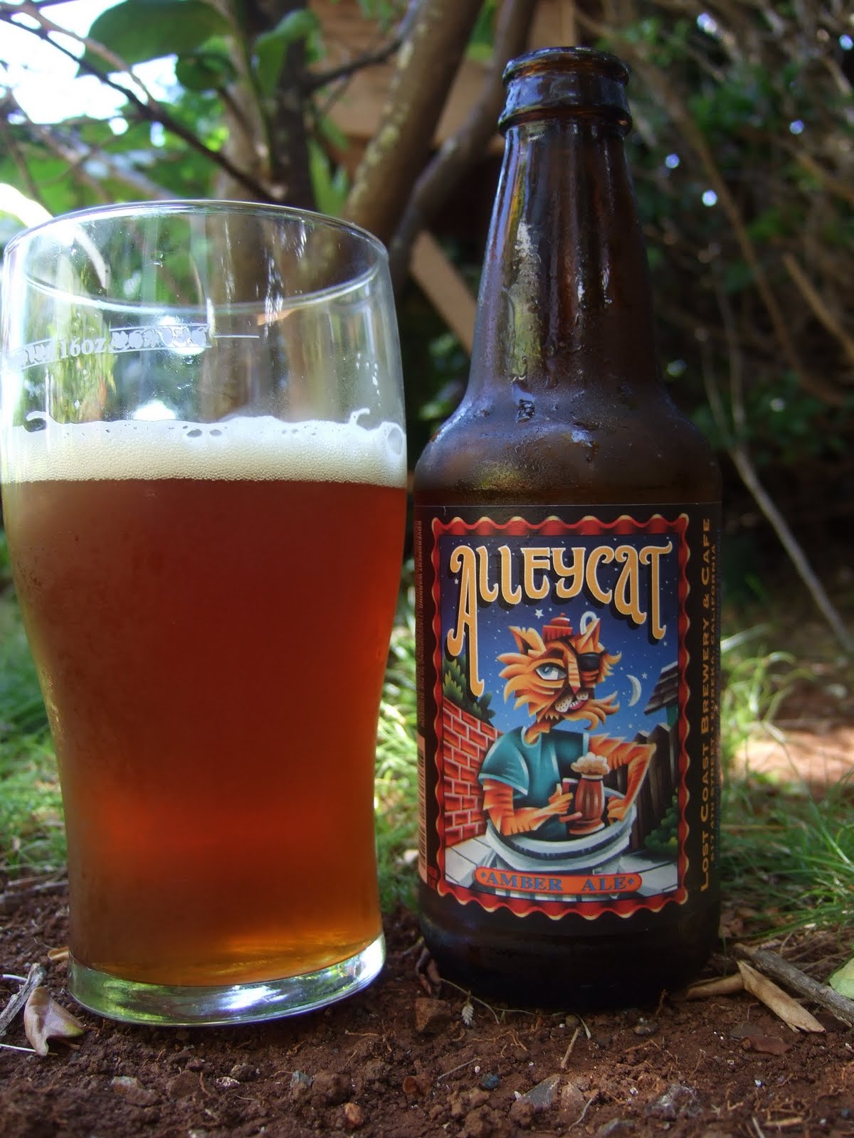 Oahu's Brews, News, and Reviews Lost Coast Brewing Co. Alleycat Amber
