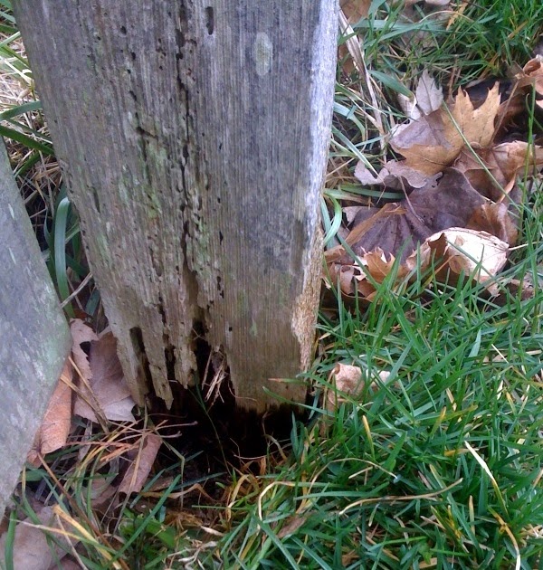 Imperial Fence Projects, News, & More How to put a post in the