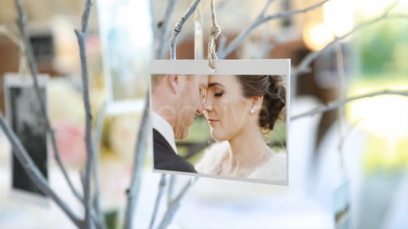 videohive photo gallery at a country wedding adobe after adobe after effects wedding templates free download