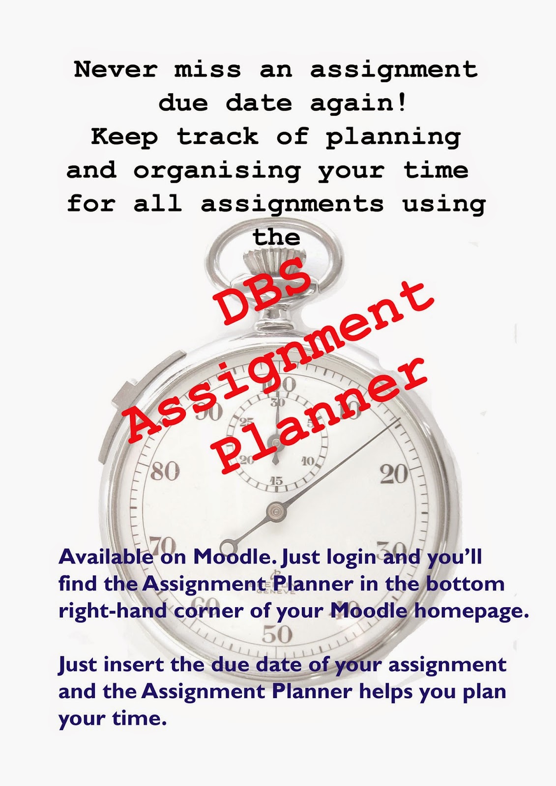 What is a business activity report