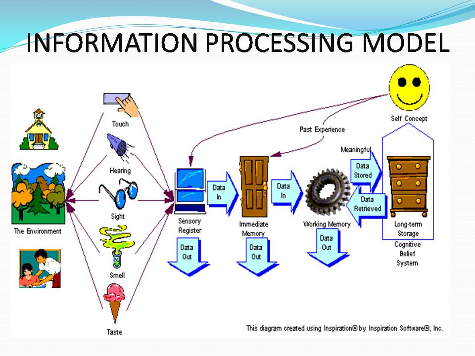 Module Information Processing Theory of Learning