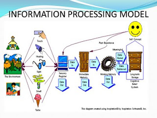 processing information model theory cognitive learning approach mathematics