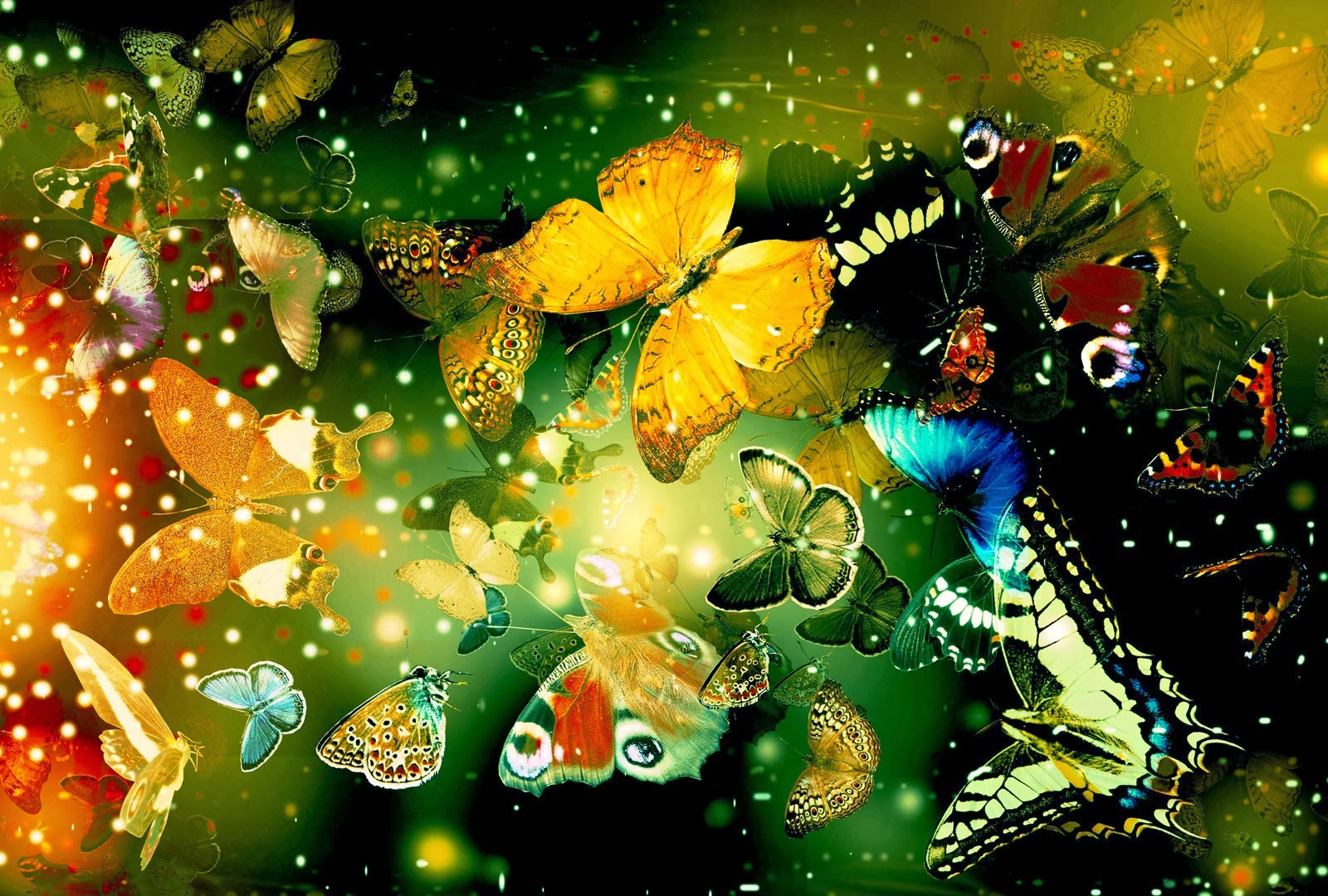 FANTASIE WALLPAPER fantasie wallpaper: