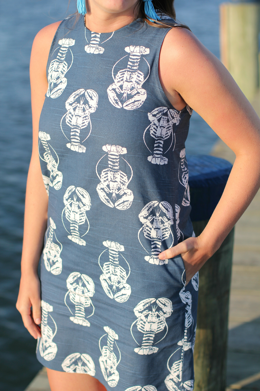 Love, Lilly Lobster Dress New York City Fashion and Lifestyle Blog