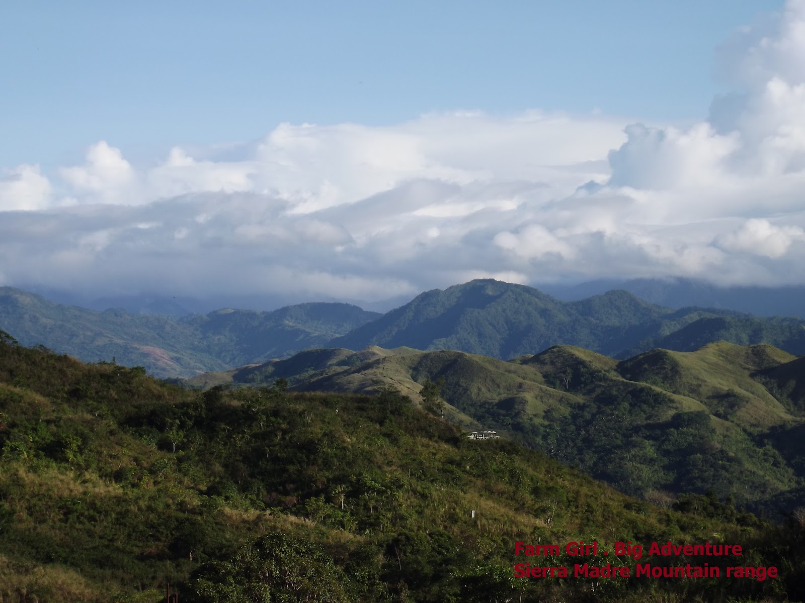 Presentation Name on emaze