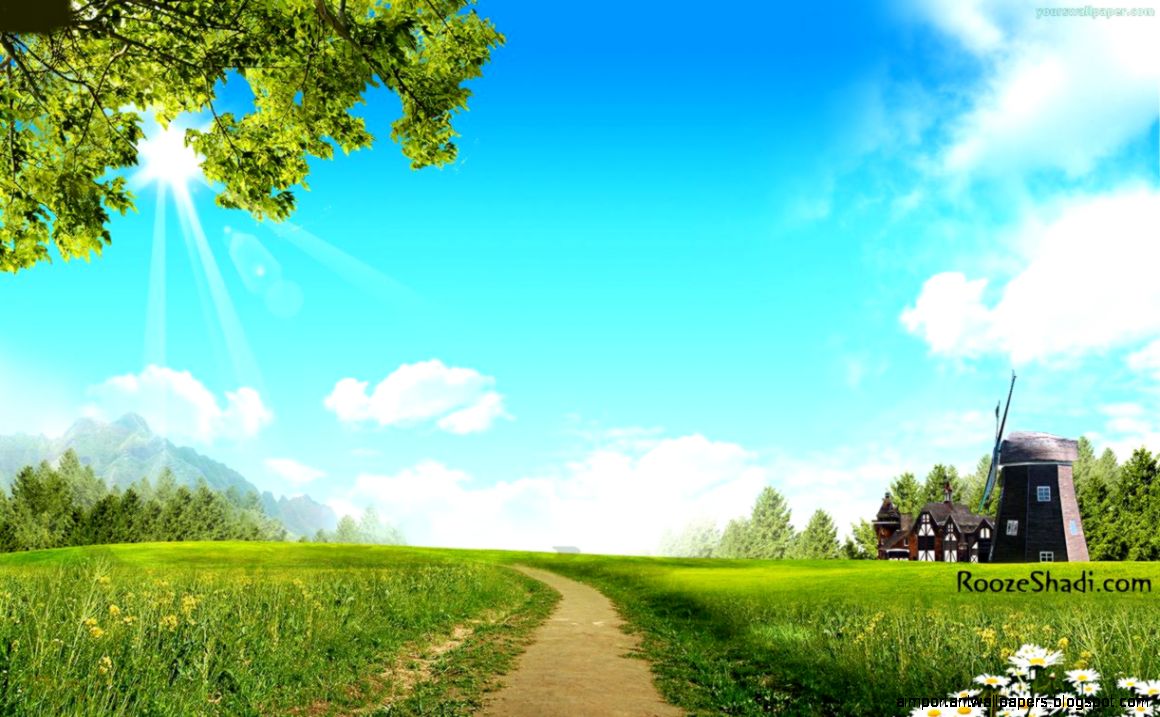 Beauty Morning Grass HD Image 1222x763 for Gadget Background Beauty Morning Grass HD Image 1222x763 for Gadget Background