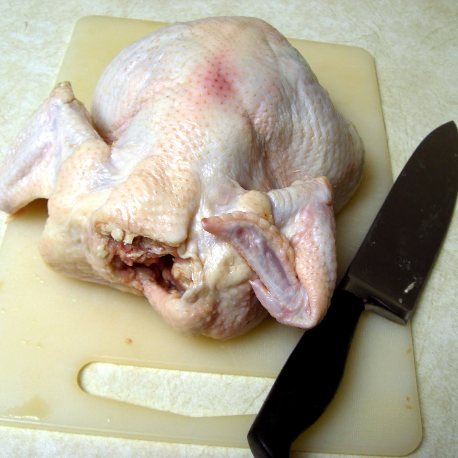 Domesticity Nouveau Roast Chicken