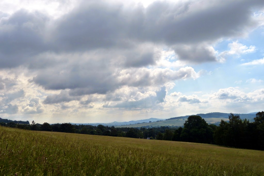 spuren von weichtieren
