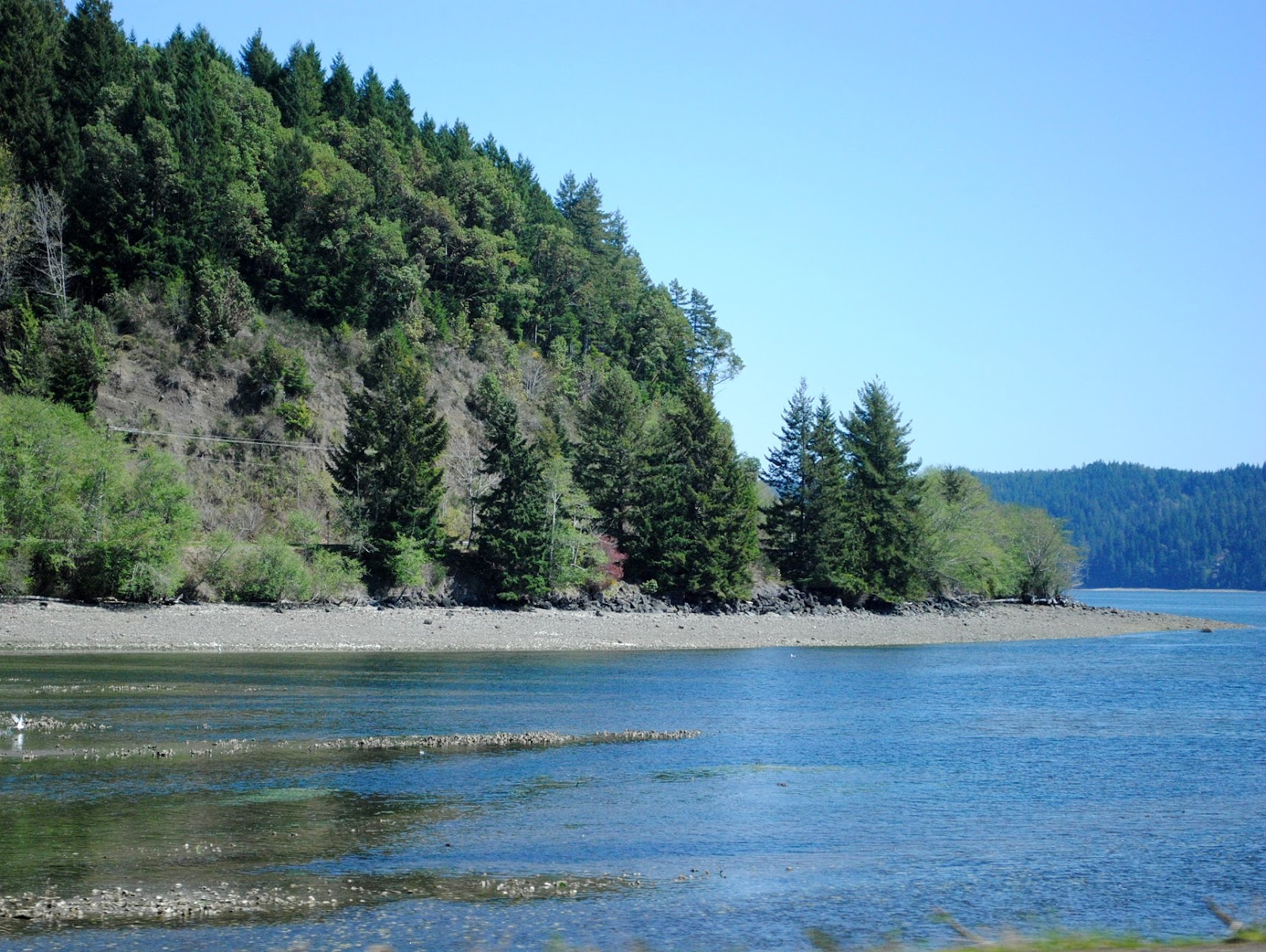 Aimee on the Mountainside Climbing Life's Mountain Hood Canal