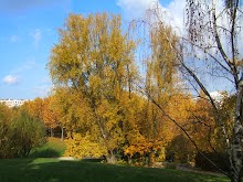 PARIS au rytme des saisons