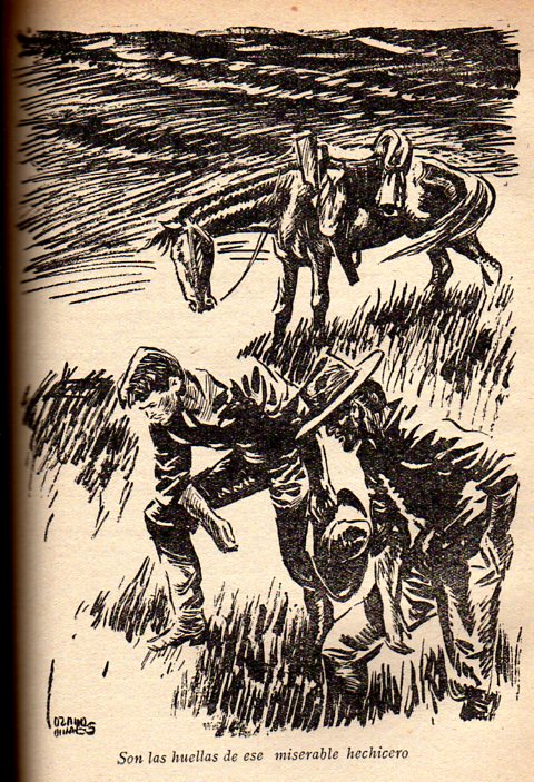 Lozano Olivares Editorial Molino / Colección Molino 1954 a 1957