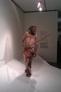 Эци в Археологическом музее в Больцано (нем. Ötzi, встречаются также варианты написания Этци и Отци)