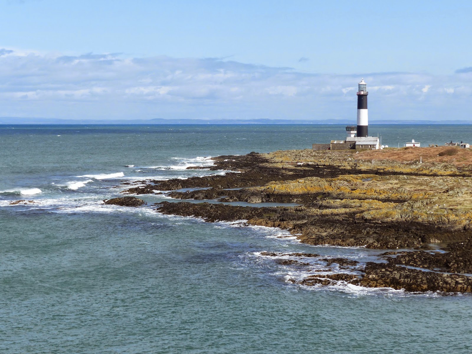 Birding For Pleasure Copeland Island Visited (Part 2)