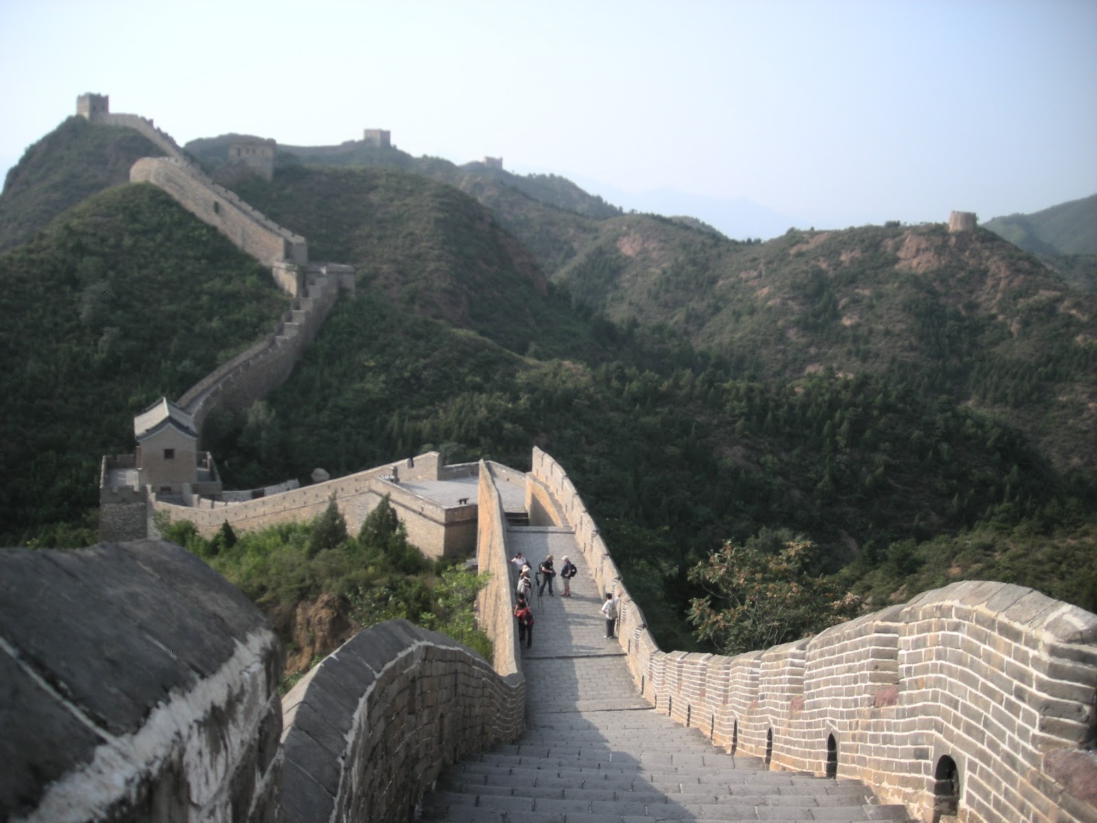 A Wandering Botanist Plant Photo Album Plants Of The Great Wall