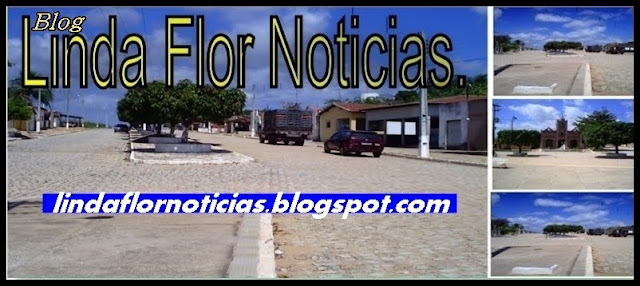 Linda Flor Noticias