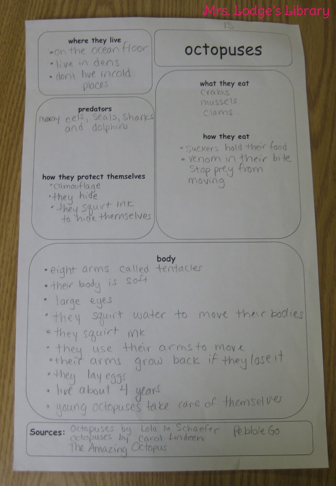 10 fun facts about octopus picture