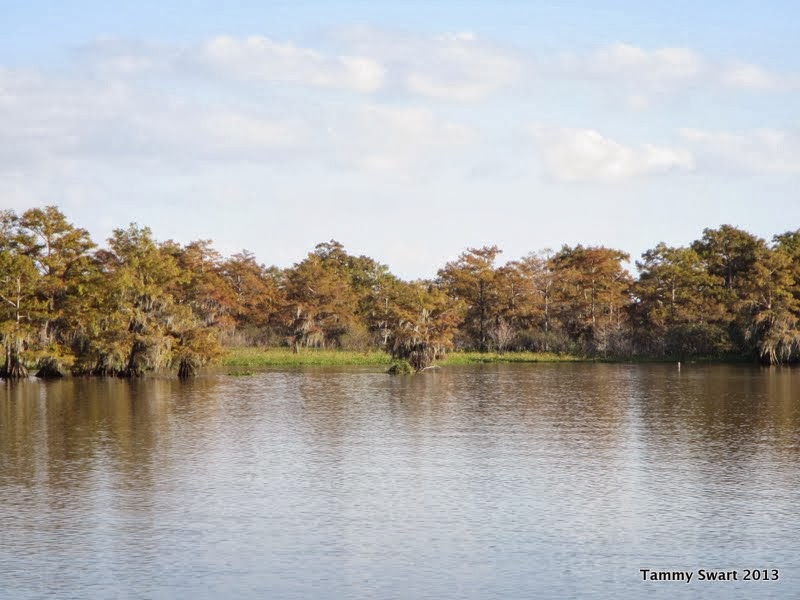 Things we did today... The Mermentau River