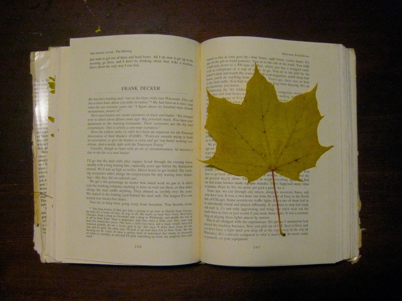 Image result for a fall leaf pressed in a book