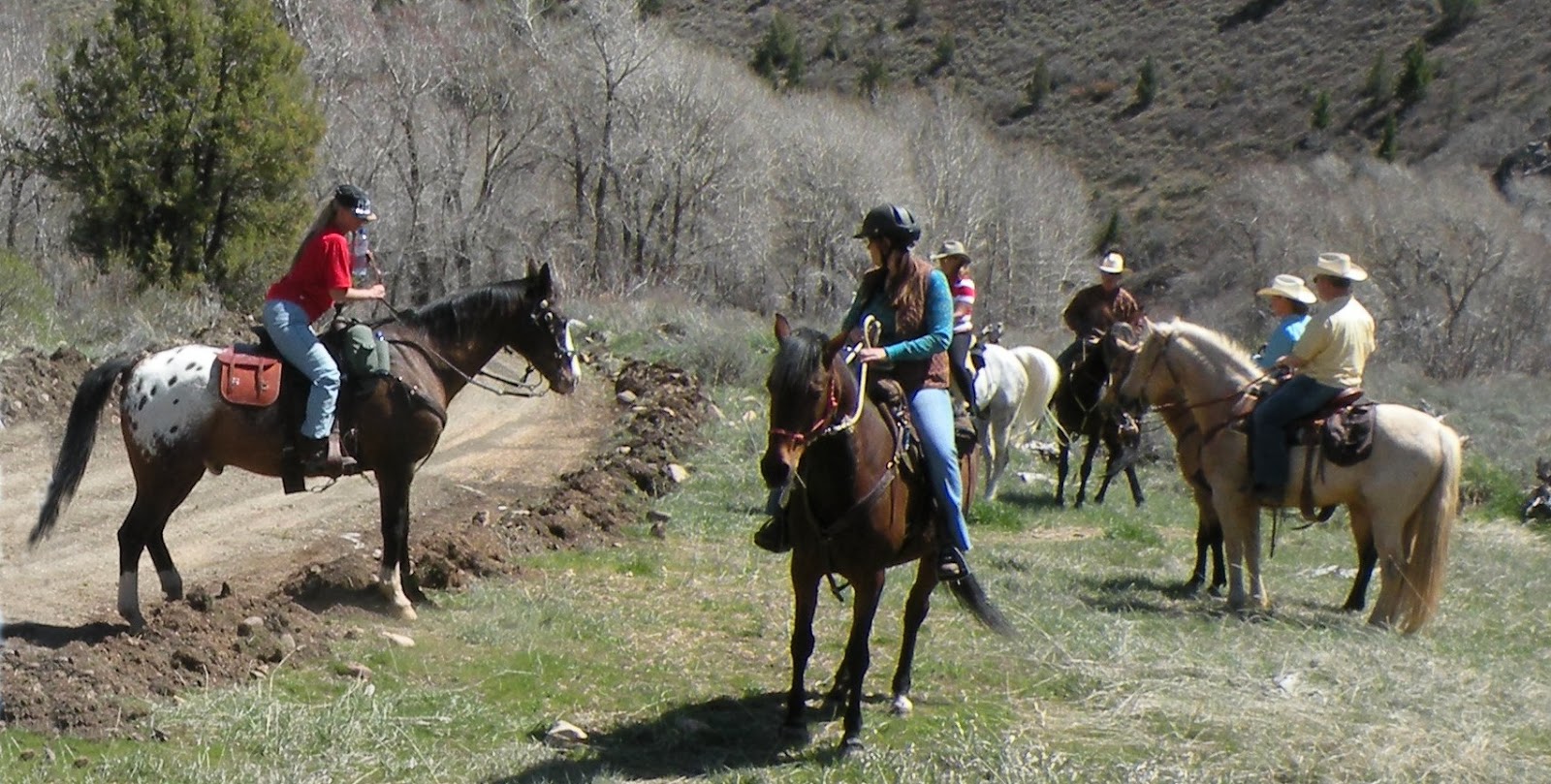 Dream Packer Trail Adventures Cobble Creek, South Fork, Utah