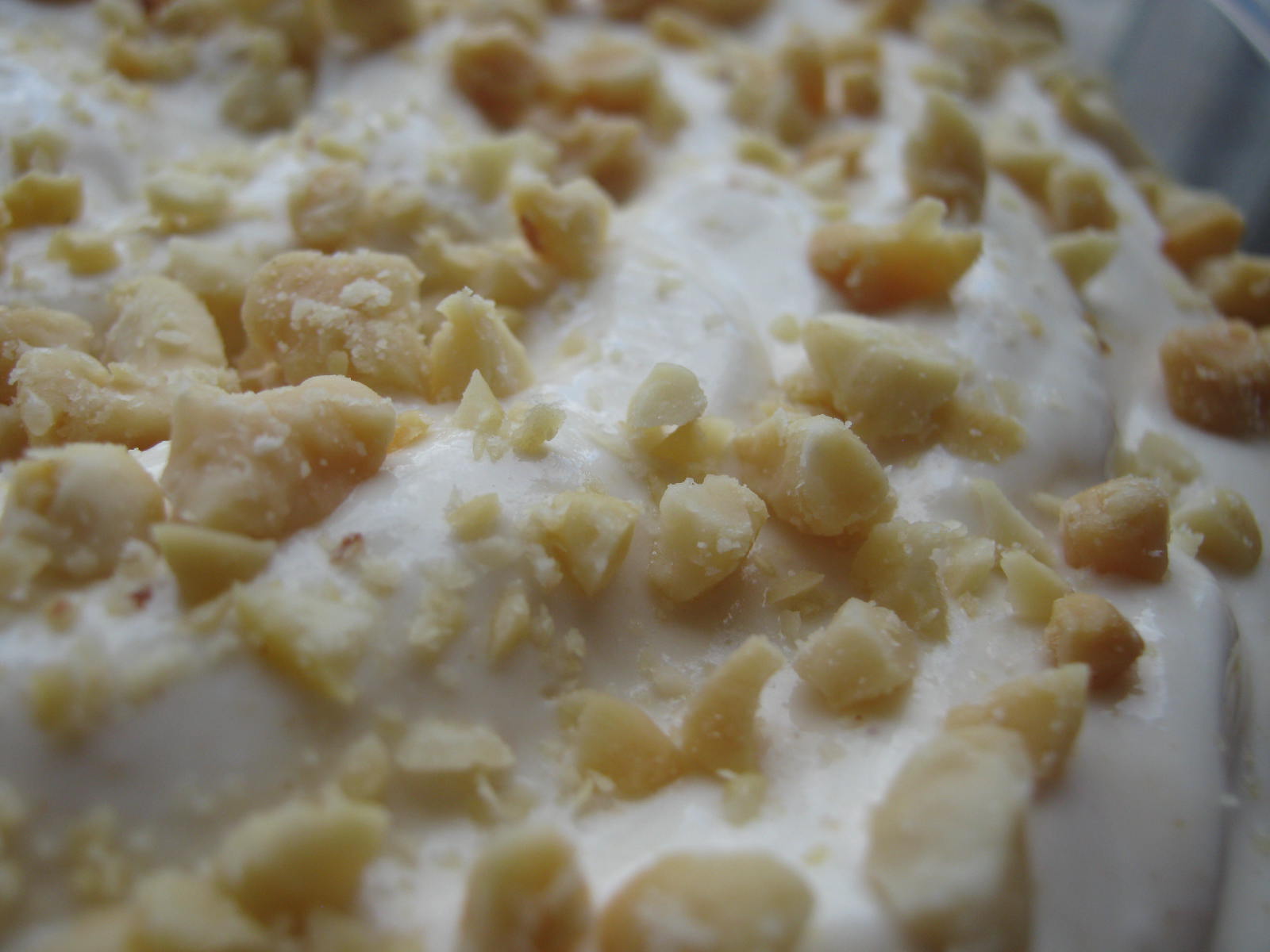 I See Fit People Peanut Butter Protein Ice Cream