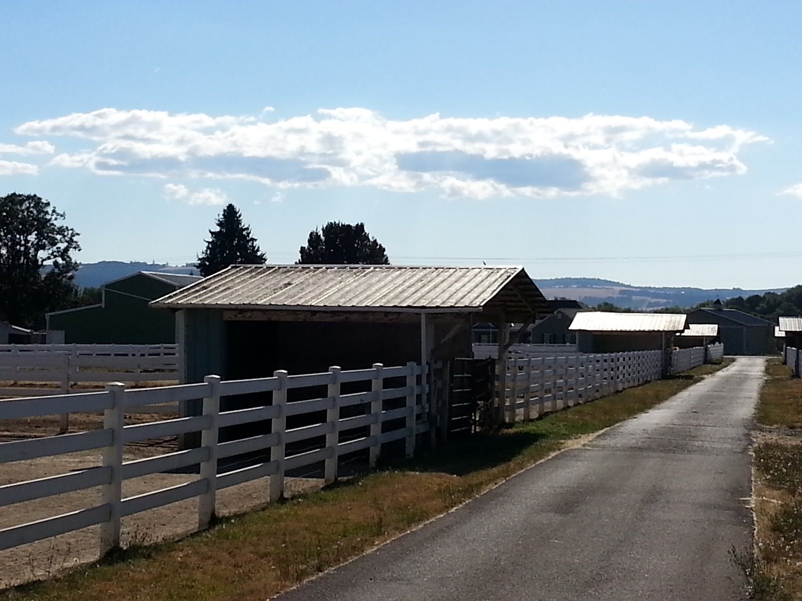 Barn