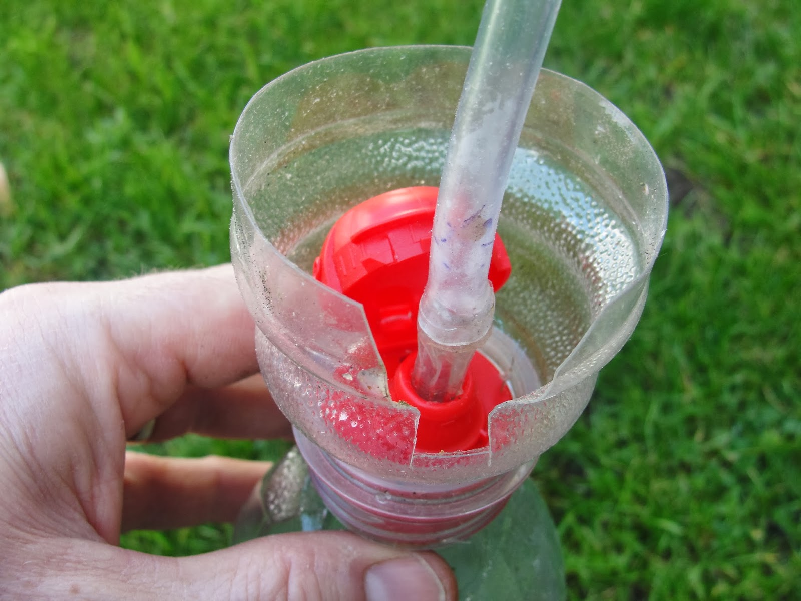 The Outdoor Traditionalist My Homemade Birch Sap Collector