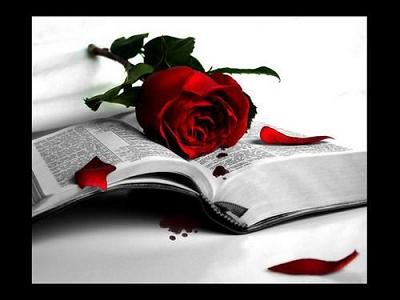 feliz sant jordi a todos :3 Rosa+roja+libro
