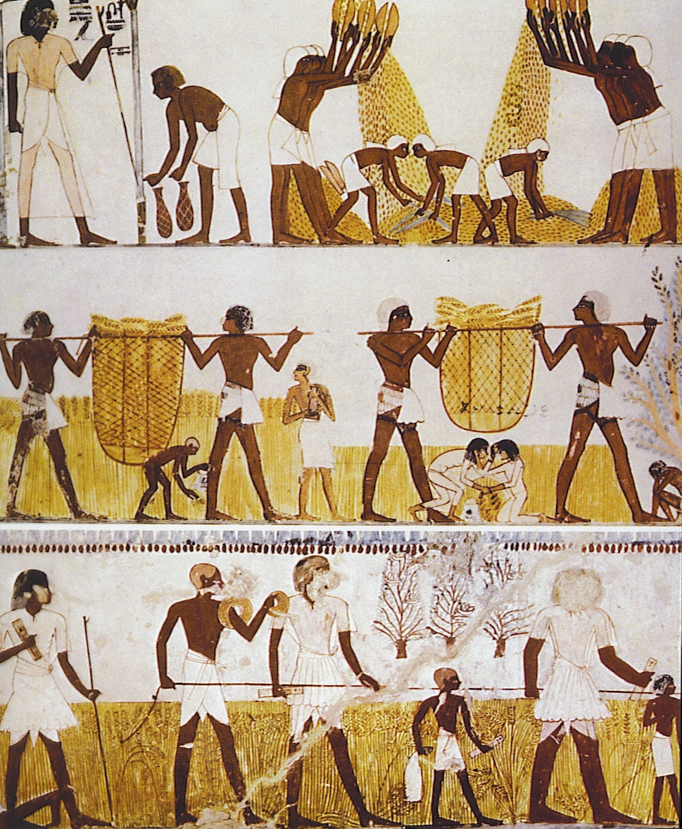 Egyptian Ancient Egypt Daily Life