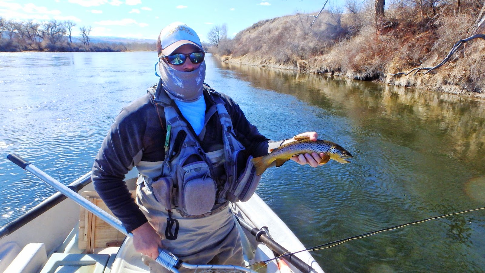 Mountains, Rivers, & Trout Bighorn Spring Trip Day 2