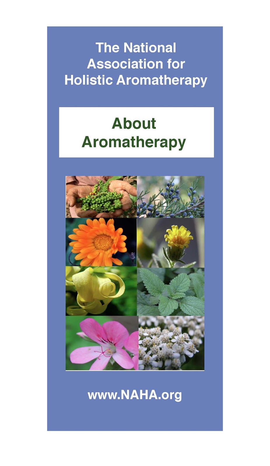 National Association for Holistic Aromatherapy