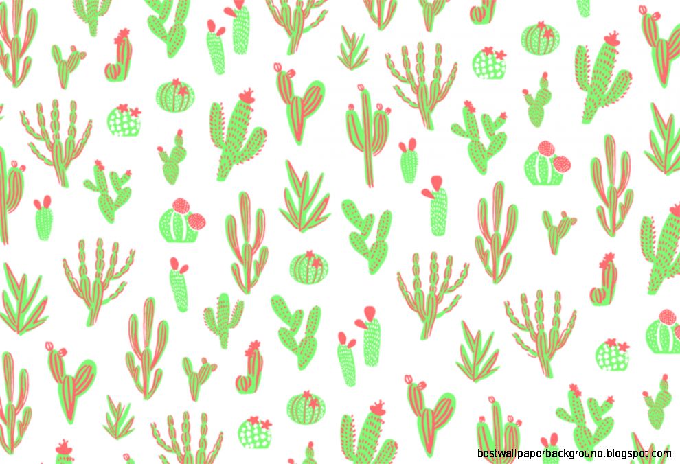 HDQ Cactus Images Collection for Desktop VV36 HDQ Cactus Images Collection for Desktop VV36