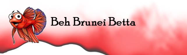 Beh Brunei Betta