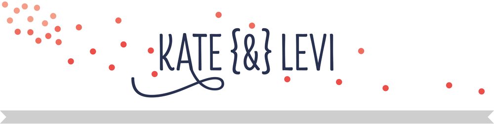 Bakfiets Blog Schokofahrt Mit Dem Chike Ans Meer