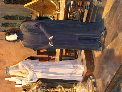 snape and dumbledore costumes