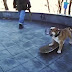 Πώς ένας σκύλος βοηθάει την αστυνομία στην Ουκρανία...