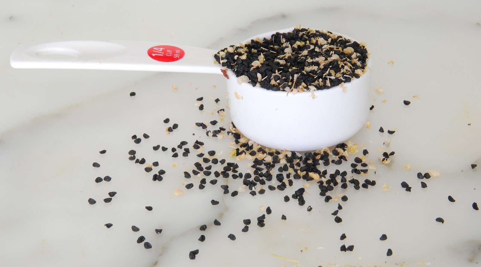 My Recession Kitchen...and garden Growing My Own Onion Seed