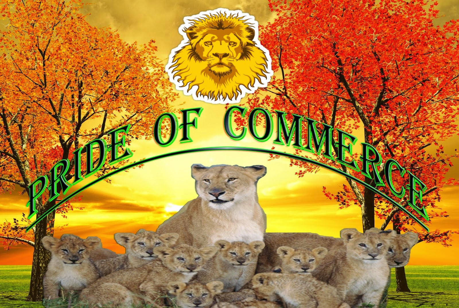 Logo of Pride of Commerce