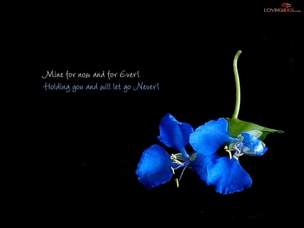 http://3.bp.blogspot.com/-f8Gi0hrxRTY/TnSba36CIII/AAAAAAAAA0E/R760m8eU4Ho/s1600/Love%20Pictures%20(150).jpg