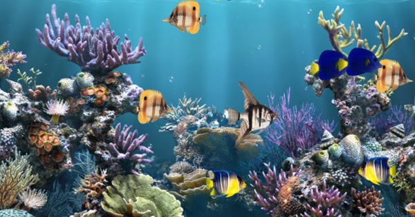 Download Animated Aquarium Wallpaper