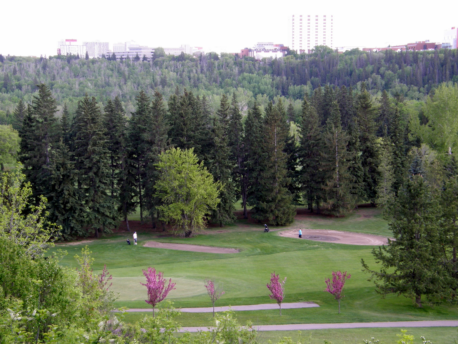 Golf in the 70's 22 of 70 Victoria Golf Course, Edmonton, Alberta