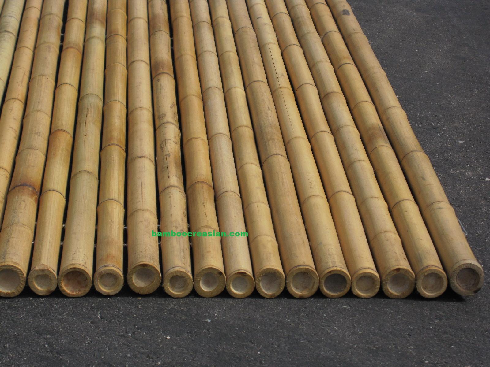 Beautiful Bamboo Cane's Panel Fence Rolls Bamboo Fence roll, Bamboo