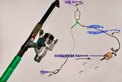 Ловля толстолоба на технопланктон - снасти