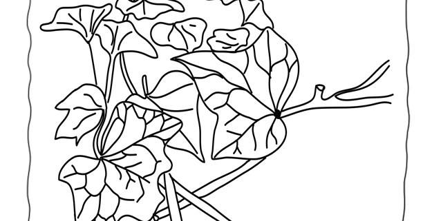 Kids Page: Leaf IvyOur Of Ivy Leaves Coloring Pages