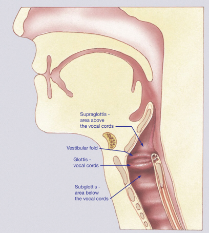 Thyroid Cancer Survival Rate Symptoms Of Throat Cancer In Men Nhs