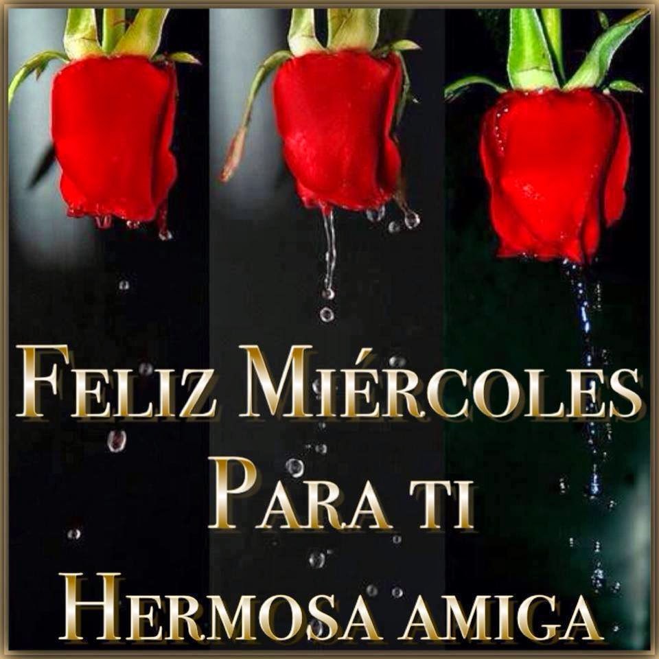 Resultado de imagen para flores y chocolates para ti